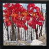 "Maple Bush"
cattim_796_25
11" x 11"
