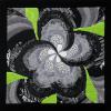 Black & White Flower Study
cattim_430_16
17" x 17" (43cm x 43cm)
NEW